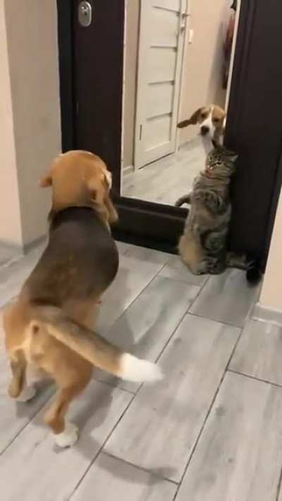 Look at my butt