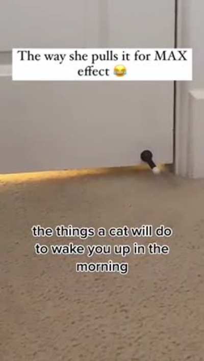 Best alarm ever ?