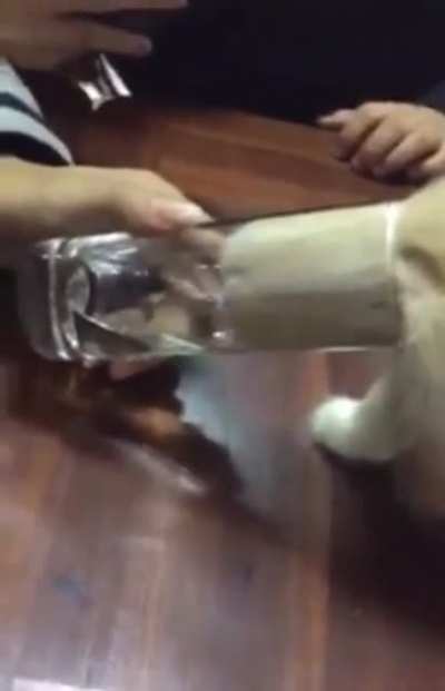 A cat trying to drink water from a glass...