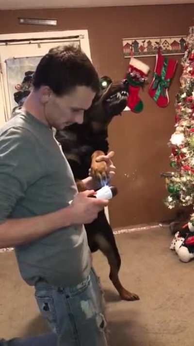 Real life hellhound