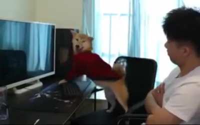 I think he might have a gaming addiction...