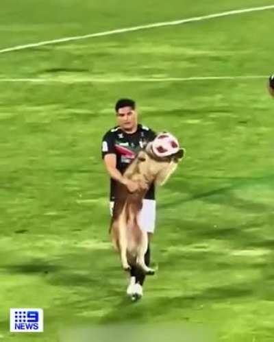 To join the soccer team