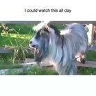 This is hilarious