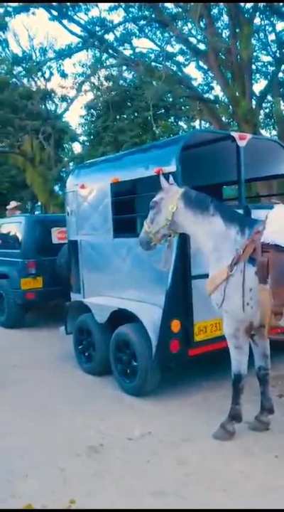Horse parade
