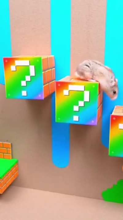 Super Mario hamster maze.. ??