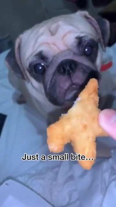 Tender Chomps