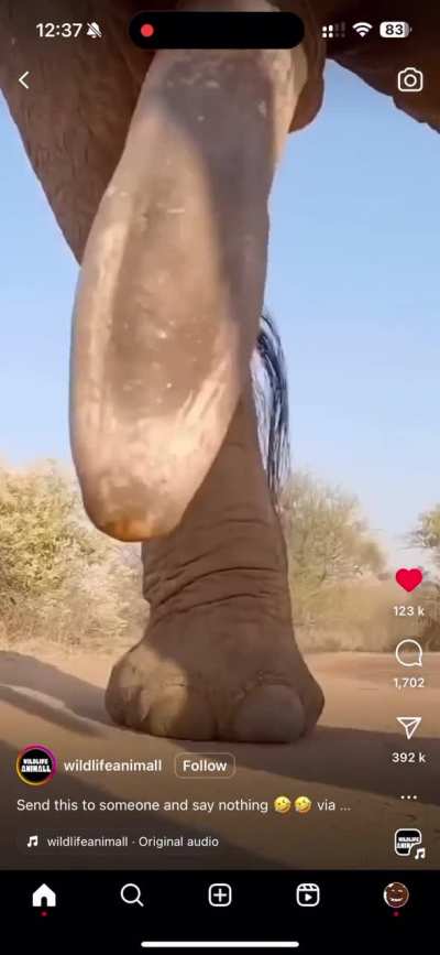 That is huge