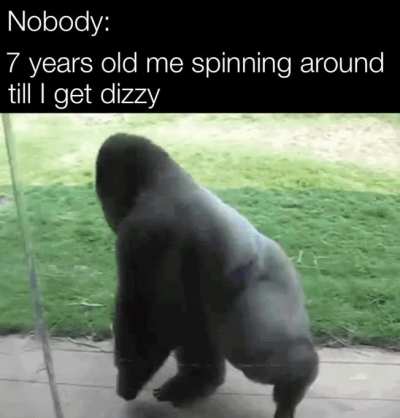 You spin me right round, baby, right round..