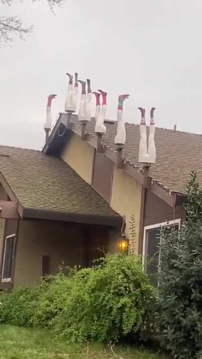 My neighbors Christmas decorations ?