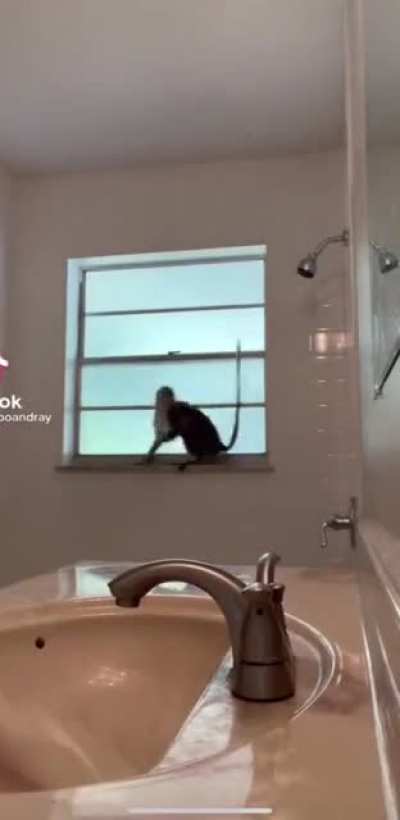 At least he isn’t jumping on the bed.