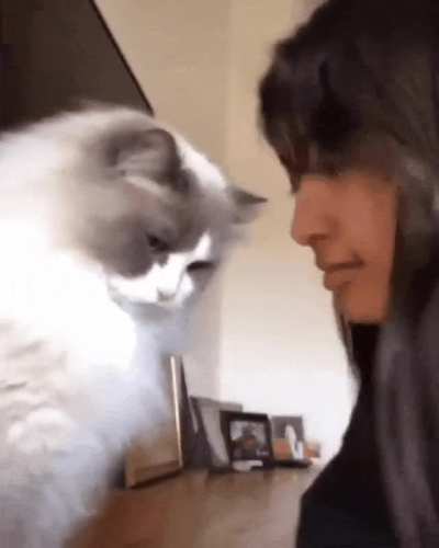 Vibing with the cat