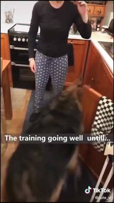 Good boy