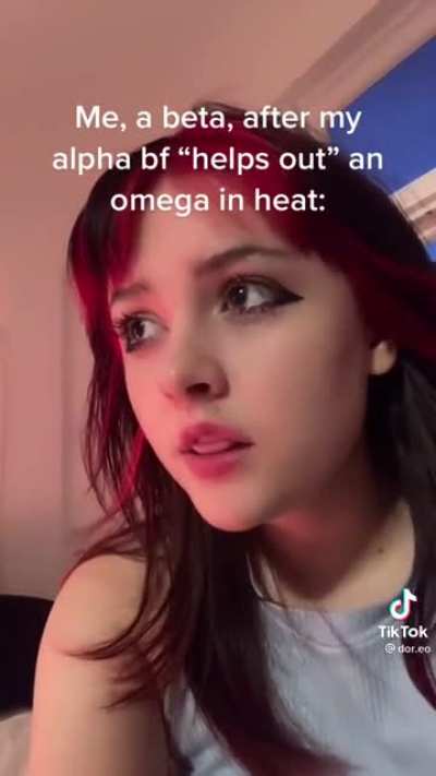 What in the Wattpad ?