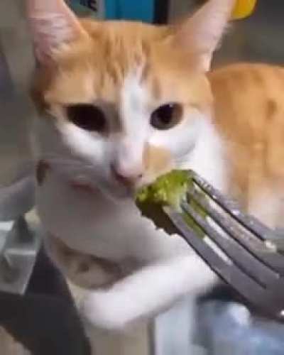 broccoli bad