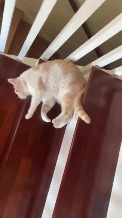 Stair cleaner