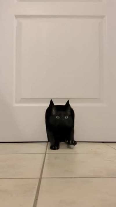 Bat-door
