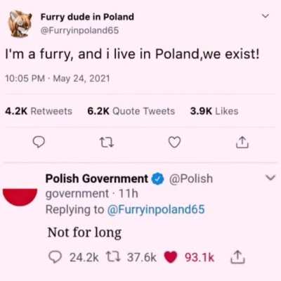 Chad polish government ?