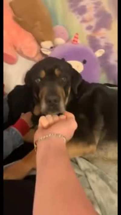 Take this doggy
