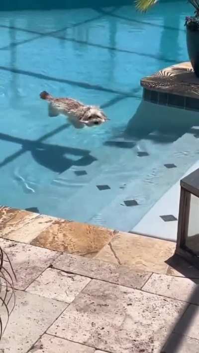 Is this normal?