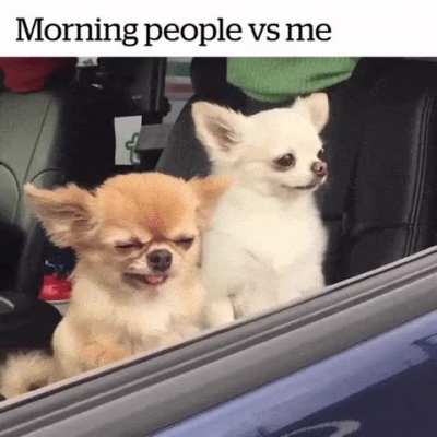 Which one are you? ?
