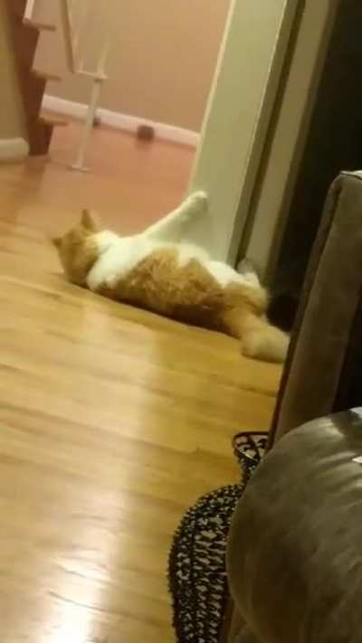 Oh SHIT