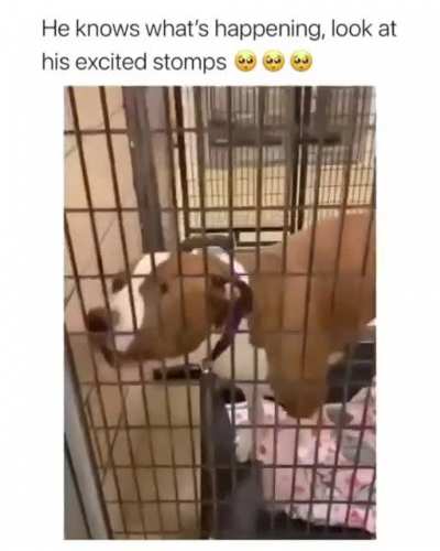 he already knows what's going to happen