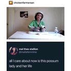 This lady who takes cares of possums that can no longer survive in the wild and also makes hilarious videos with them.