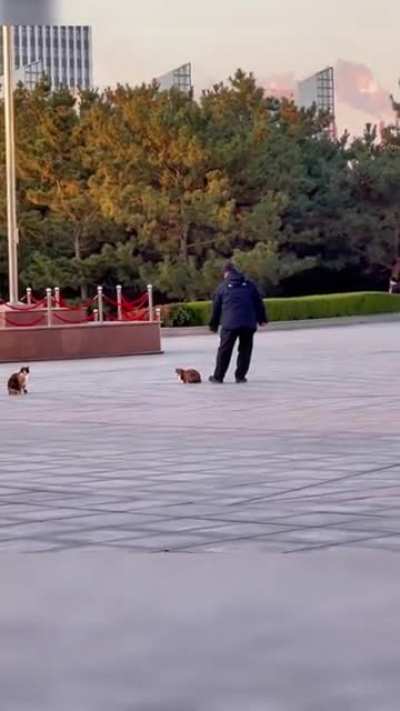 Dads with the cat they didn't want when no one's looking