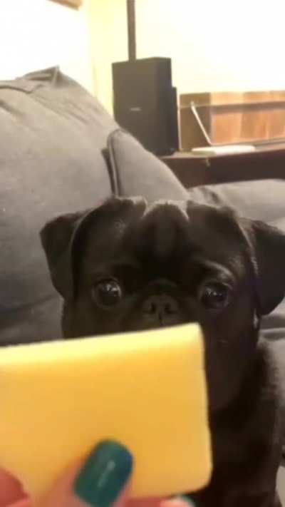 "Gentle" Bite