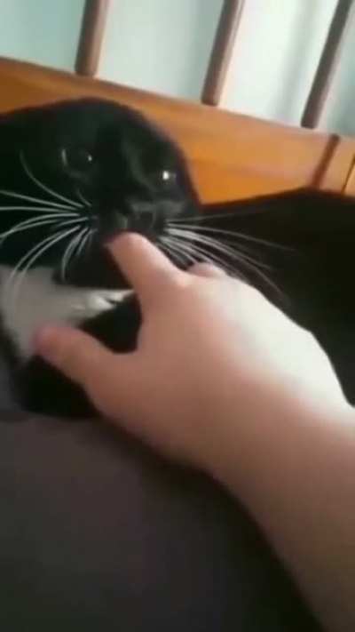 Let’s see what happens when you finger a pussy.