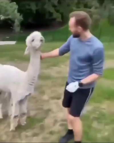 Meheheheh