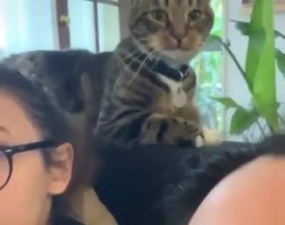 Incorrect catculation.