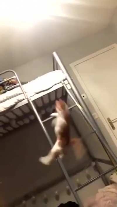 To climb down this ladder