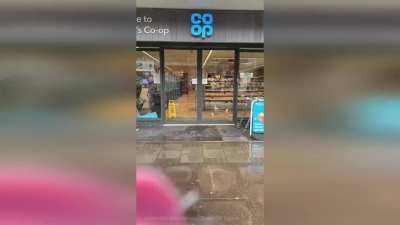 Seagull steals tuna sandwich from supermarket like a pro