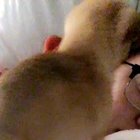 cuddletime