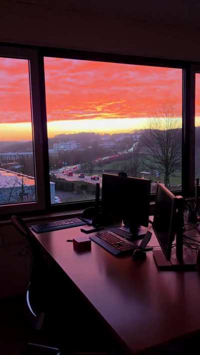? Office view this morning left me speechless