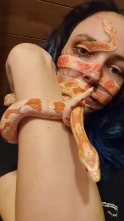 People told me to put my cornsnake face painting here ?