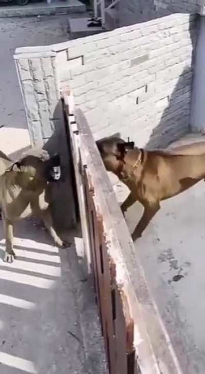 What jerk this gate is!