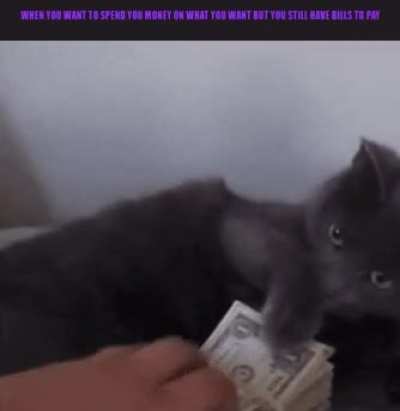 when you want to spend your money