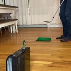 HMB while I insert the disk