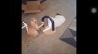 He even checked to see if the camera’s rolling
