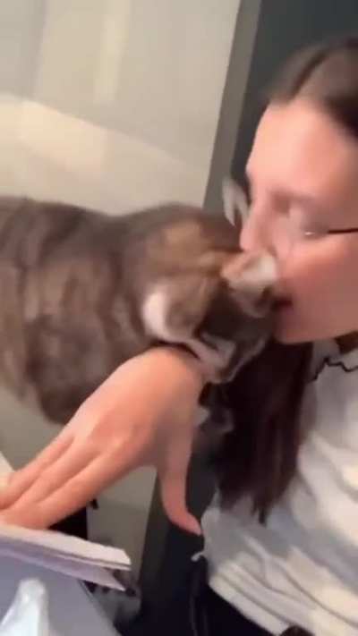 playing with the cat