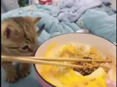 Me want food...