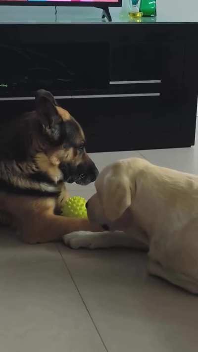 Maybe Maybe Maybe