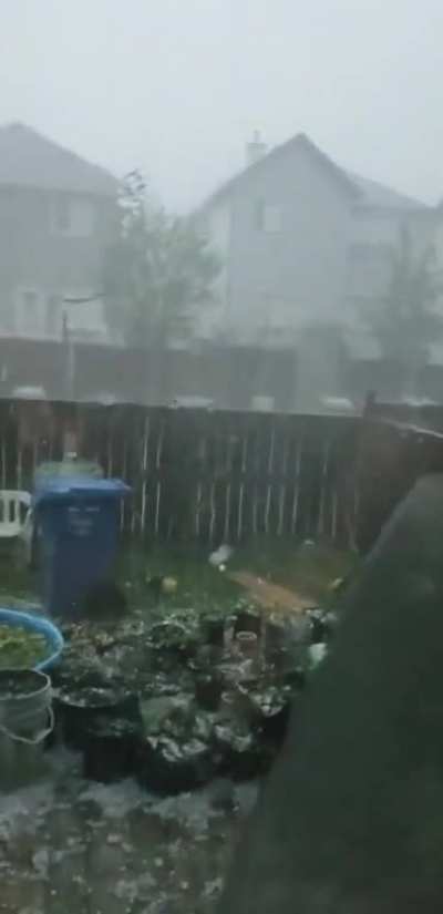 First year gardner watches as garden goes to hail.