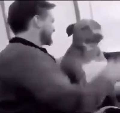 Don't underestimate animals! instant karma