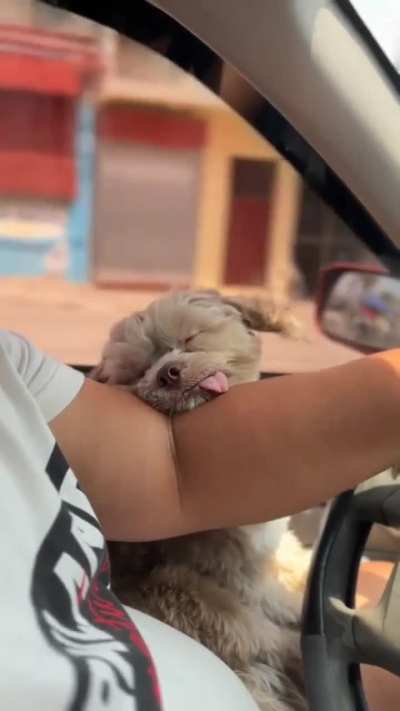 Have you seen a sleeping position like this? ?❤️