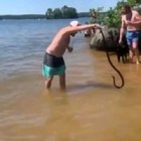 Poor snek