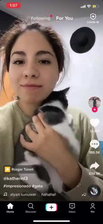 Dying at the cat’s reaction