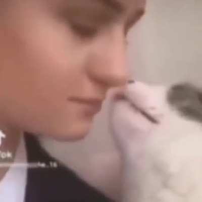 Playboy Neow